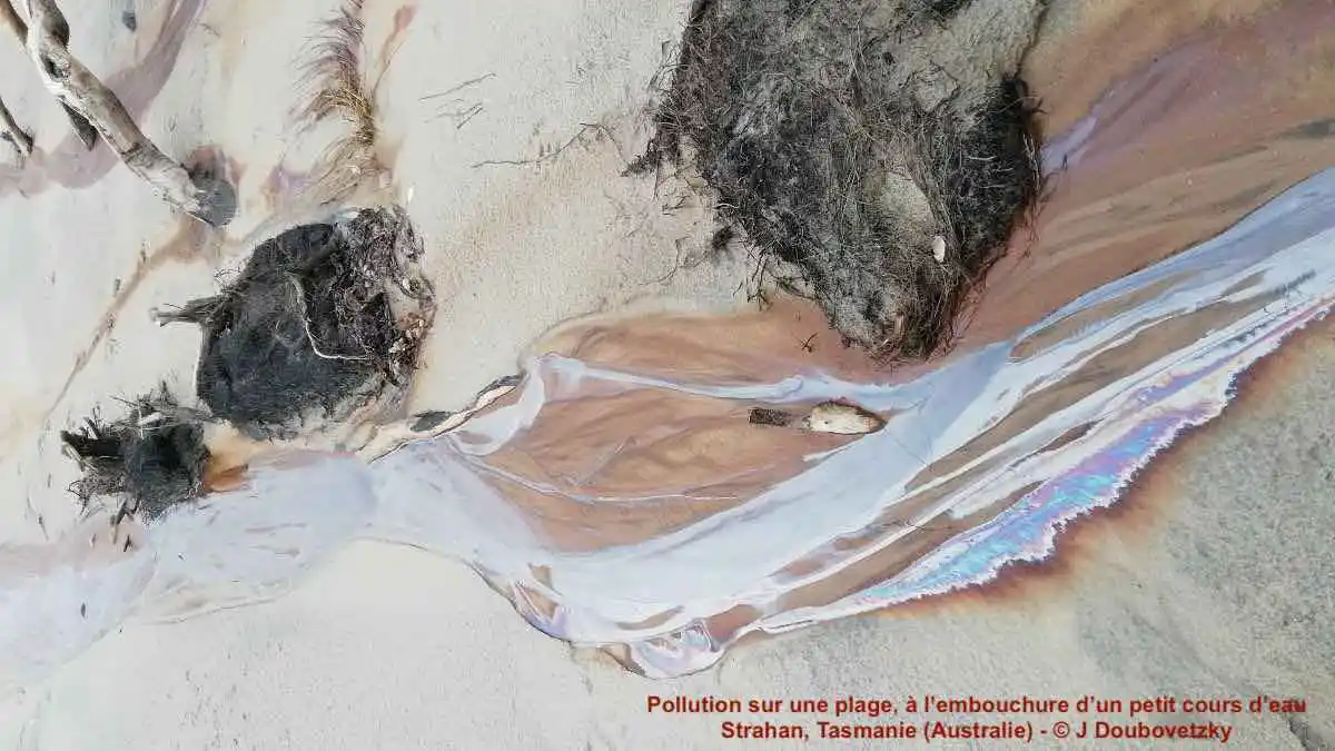 L'eau (presque) partout polluée par les médicaments