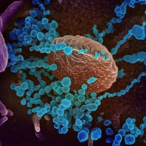 Coronavirus